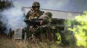 Report To Army Finds Blast From Some Weapons May Put Shooter's Brain At Risk