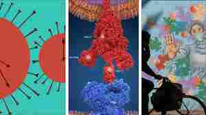Our 11 most-read global pandemic stories of 2021
