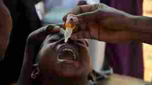 How the U.S. case might tie into the global upswing in polio