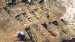Black Death survivors gave their descendants a genetic advantage — but with a cost 