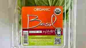 Trader Joe's recalls basil linked to 12 salmonella infections in 7 states 