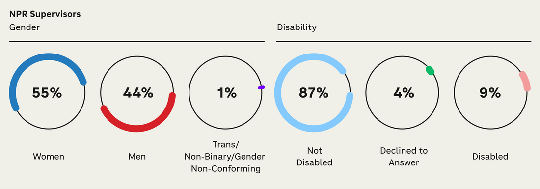 For gender, the supervisory representation percentages are Woman-55%, Man-44%, Trans/Nonbinary/Gender Nonconforming-1%. For disability, Not Disabled-87%, Declined to answer-4%, Disabled-9%