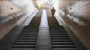 Elevator or stairs? Your choice could boost longevity, study finds