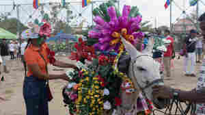 Donkeys take center stage at an annual festival in Colombia