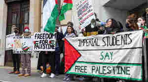 Campus protests over the war in Gaza have gone international