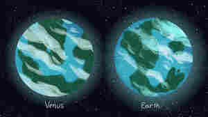 Venus and Earth used to look like 'twin' planets. What happened?