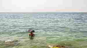 El Niño is on the way out after a record-breaking year of heat