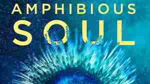 My Octopus Teacher's Craig Foster dives into the ocean again in 'Amphibious Soul' 