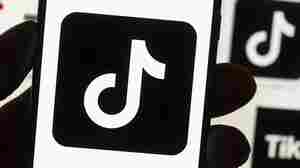 Legal experts say a TikTok ban without specific evidence violates the First Amendment