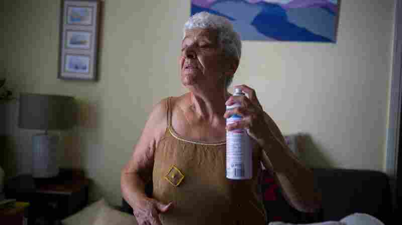 More than 200 million seniors face extreme heat risks in coming decades, study finds 