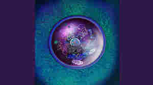 AI gets scientists one step closer to mapping the organized chaos in our cells