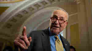 A bipartisan group of senators unveils a plan to tackle artificial intelligence