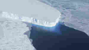 New research on Antarctica's Thwaites Glacier could reshape sea-level rise predictions