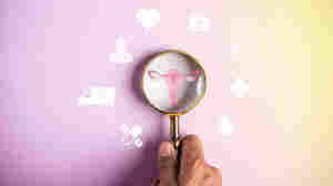 You asked, we answered: Questions you might be too shy to ask your gynecologist 