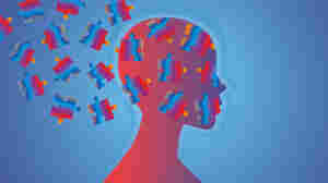 Misconduct claims may derail MDMA psychedelic treatment for PTSD