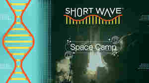 From the physics of g-force to weightlessness: How it feels to launch into space