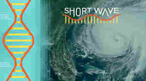 We're in for a brutal hurricane season, according to predictions