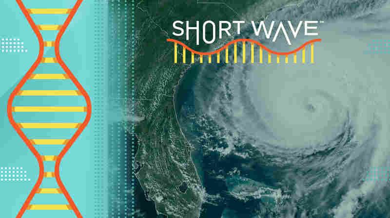 We're in for a brutal hurricane season, according to predictions