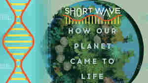 Earth is more than a planet with life on it. It's a "living planet" 