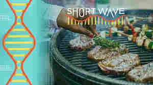 Want juicy barbecue this Fourth of July? Cook low and slow