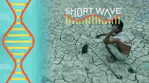 India's plan to reroute rivers could have unintended consequences on rainfall