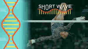 From floor routine to vault, here's the science behind Simone Biles' Olympic gold