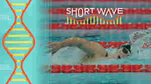 Can Olympic swimmers blame the pool for fewer records this year?