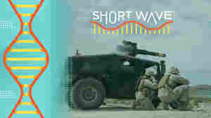 Here's how firing a weapon might hurt your brain — literally