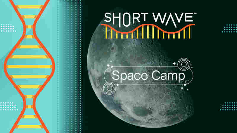 Where did Earth's moon come from? And other moon mysteries