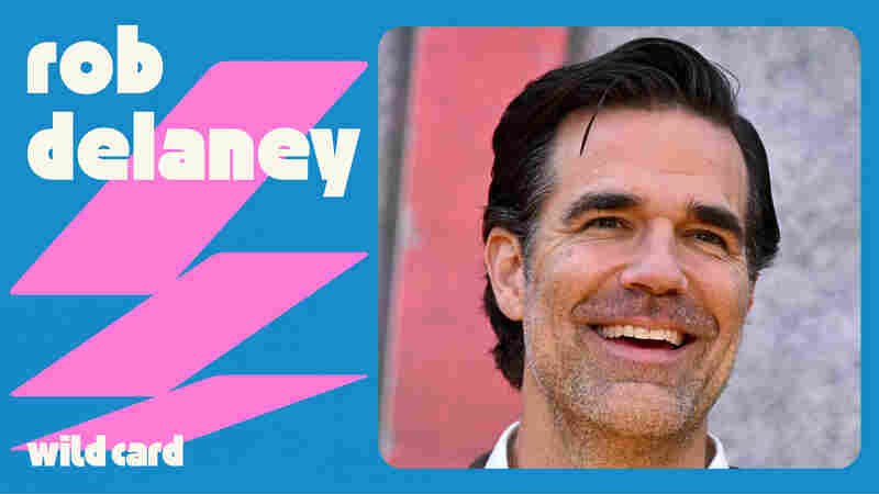 Why Rob Delaney loves failure: 'I smash it up into a powder and I snort it'