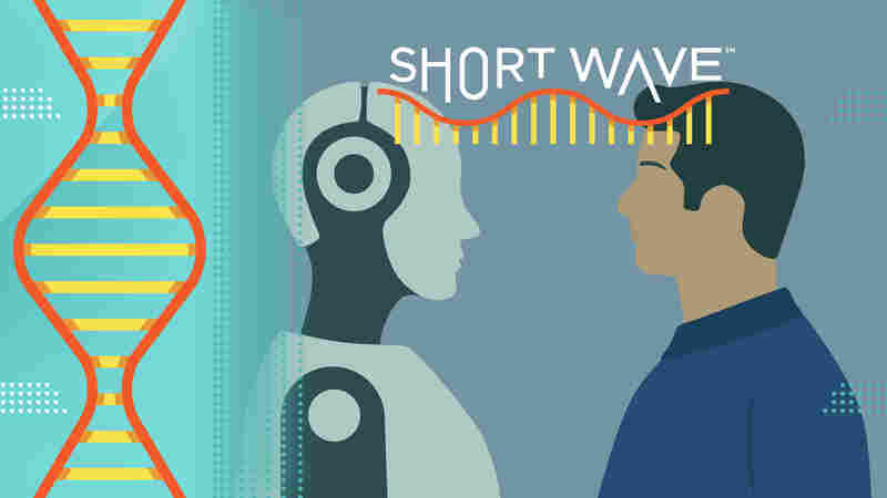 Preserving humanity in the age of robots
