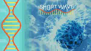Ghost particles are blasting through you. Can they solve an antimatter mystery?