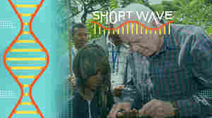 As his funeral service begins, a look at Jimmy Carter's Guinea worm legacy