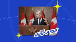 What happens when an economist becomes prime minister?