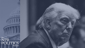 Unpacking legal & political challenges to Trump's mass deportation plans