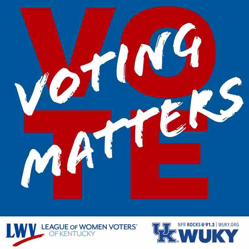 Voting Matters