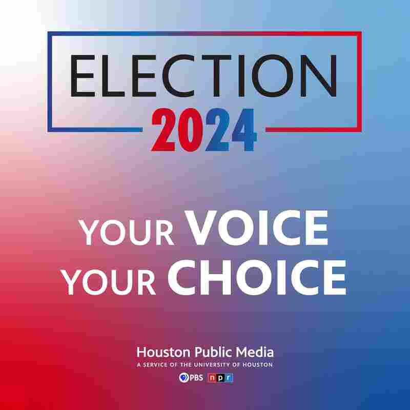Houston Election 2024
