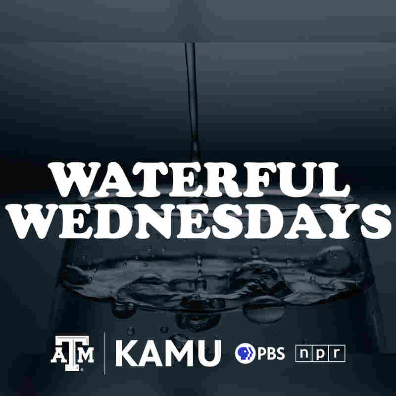 Waterful Wednesdays