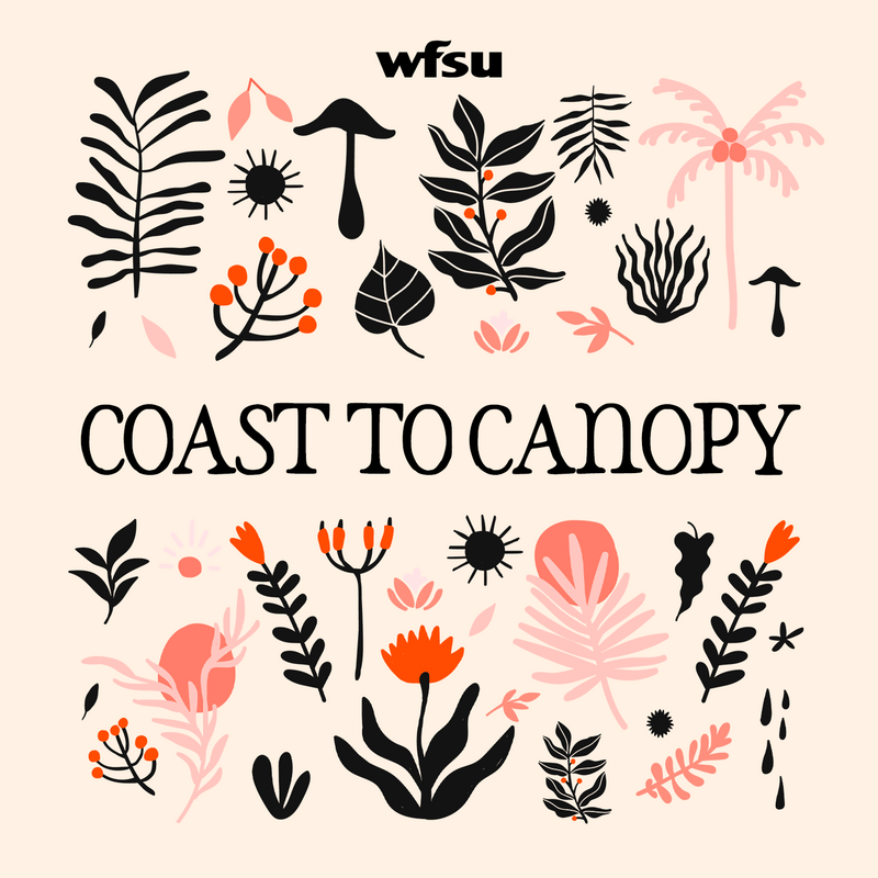 Coast to Canopy